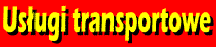 uslugi trans.GIF (38033 bytes)